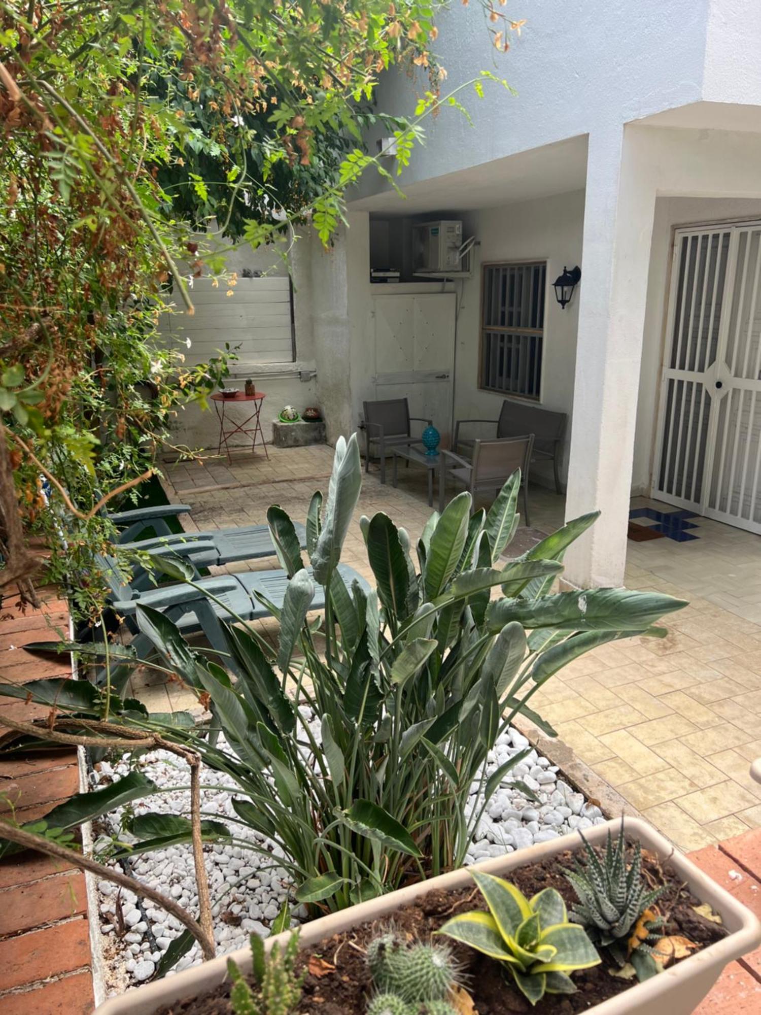 Villa Apollo Mondello Palermo Exterior foto